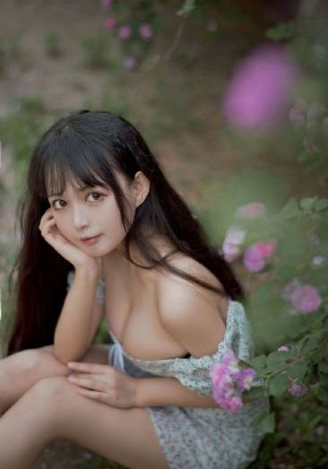中餐厅二季完整版免费