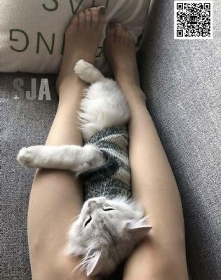 神断狄仁杰4