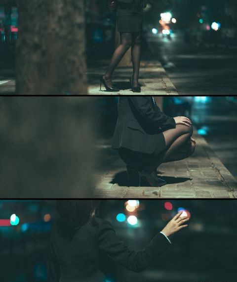 动物狂想曲第三季