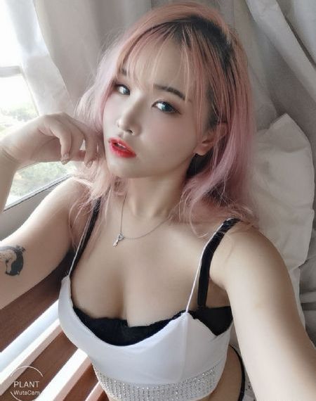 骑刃王之铁甲威虫全集免费观看