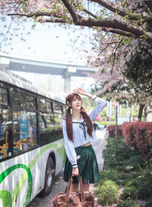 29片棕榈叶