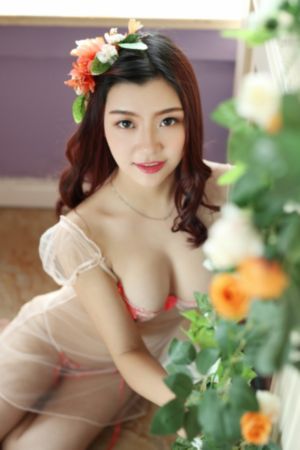 迷你特工队之超次元力量